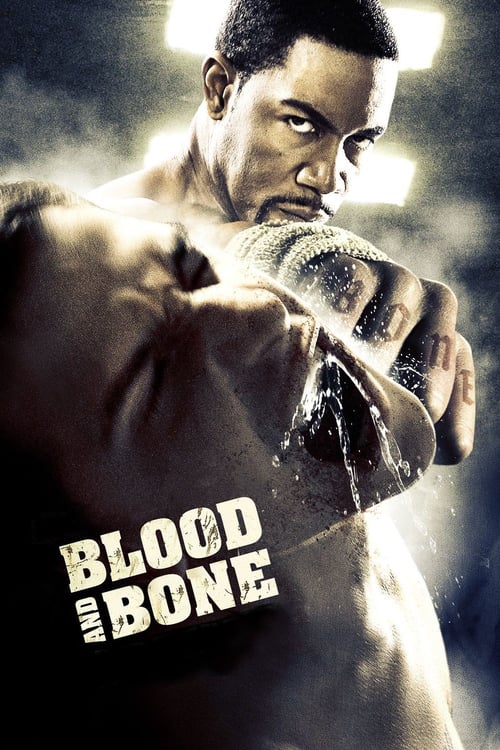 دانلود فیلم Blood and Bone 2009